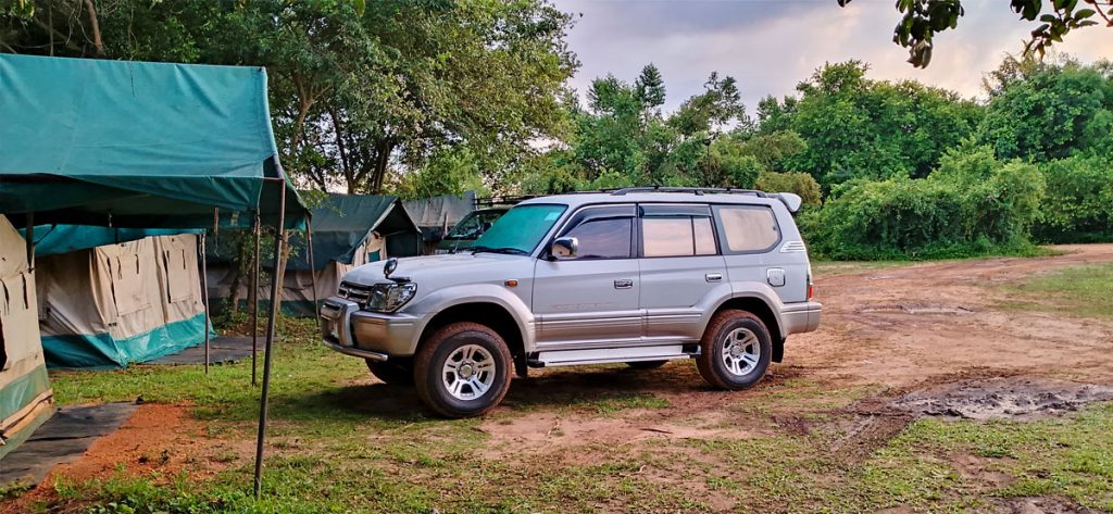 Best Self Drive Rental Cars in Africa - Top 4x4 Vehicles for Road Trips & Safaris - land-cruiser-prado-tx-car-rental-africa