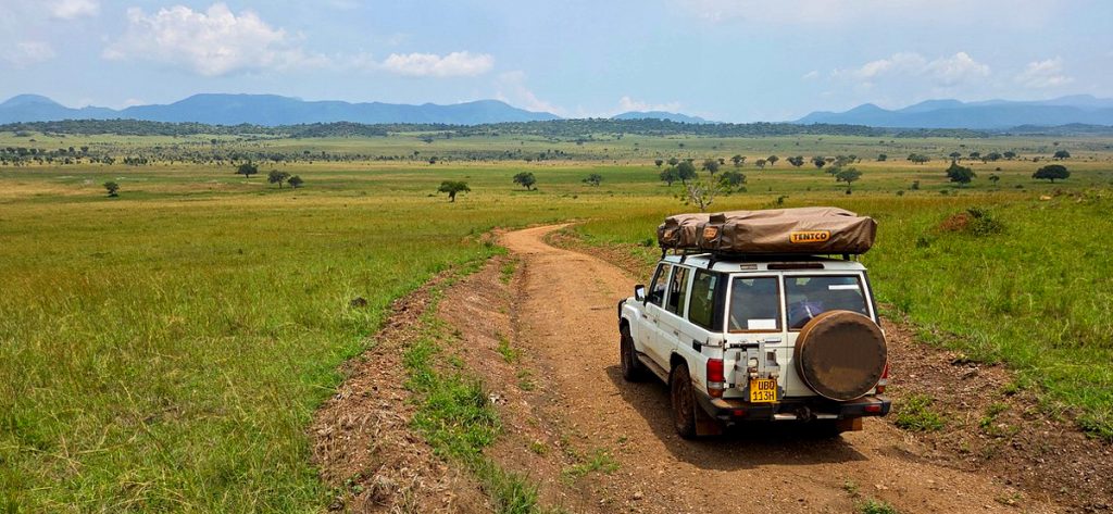 Self Driving in Kenya as a Tourist - A Complete Road Trip Guide by Africa Self Drives - self-driving-through-national-parks-in-africa